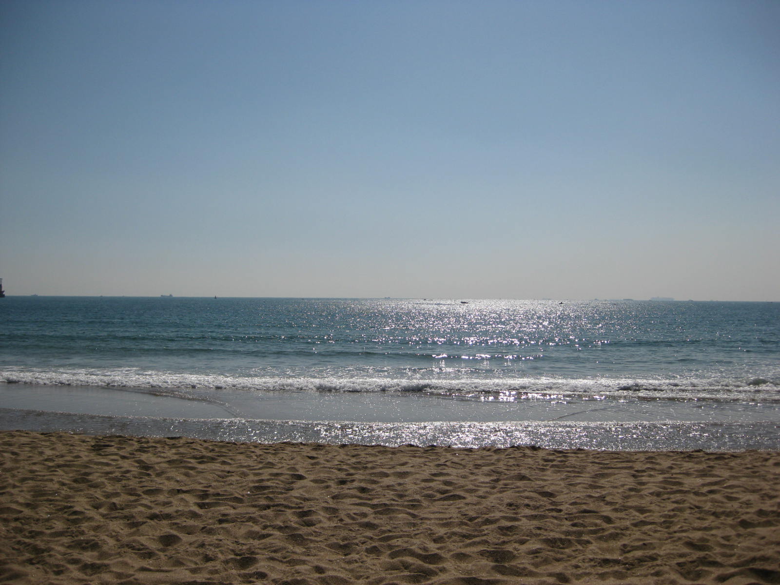 Busan Platter  Photo3