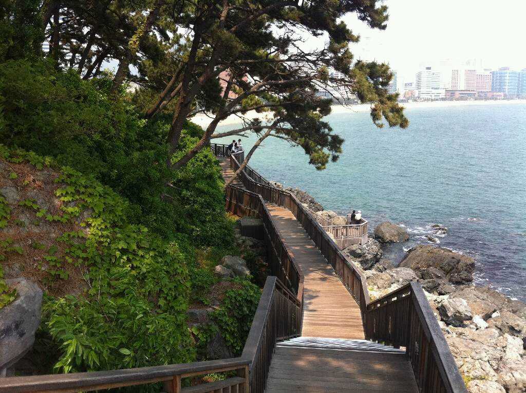 Dong-beak Island Photo2