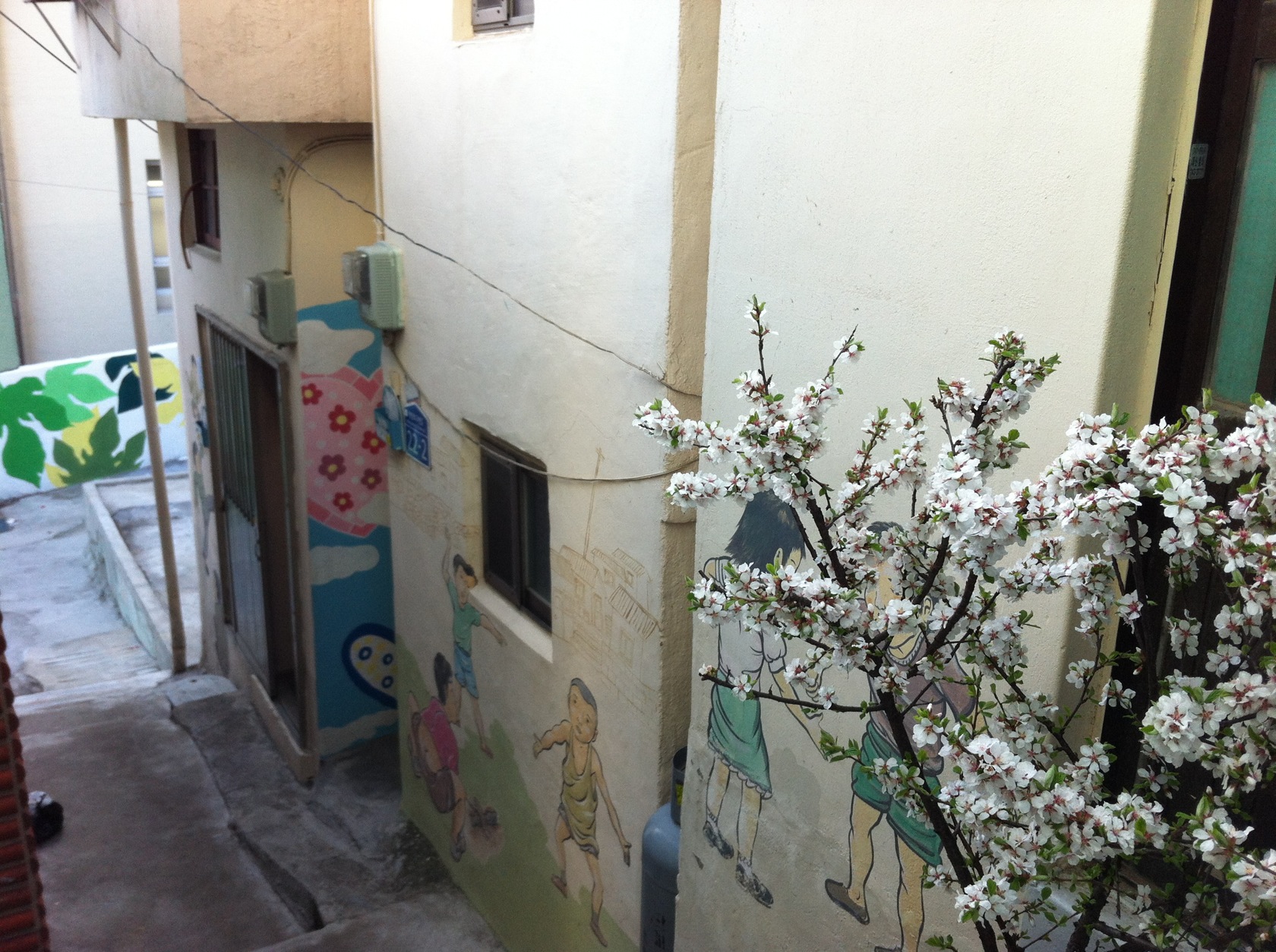 0323 서구 (Seo-gu) Area Photo2