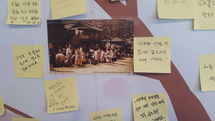 5월6일 1부 My backyard  Photo1