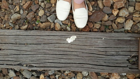 6월3일 (금) My backyard Photo3