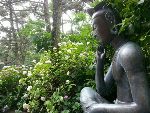 7월1일 (금) My backyard Photo1