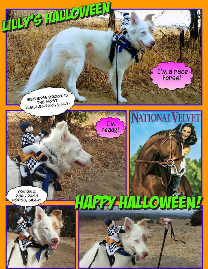 happy halloween! Photo1