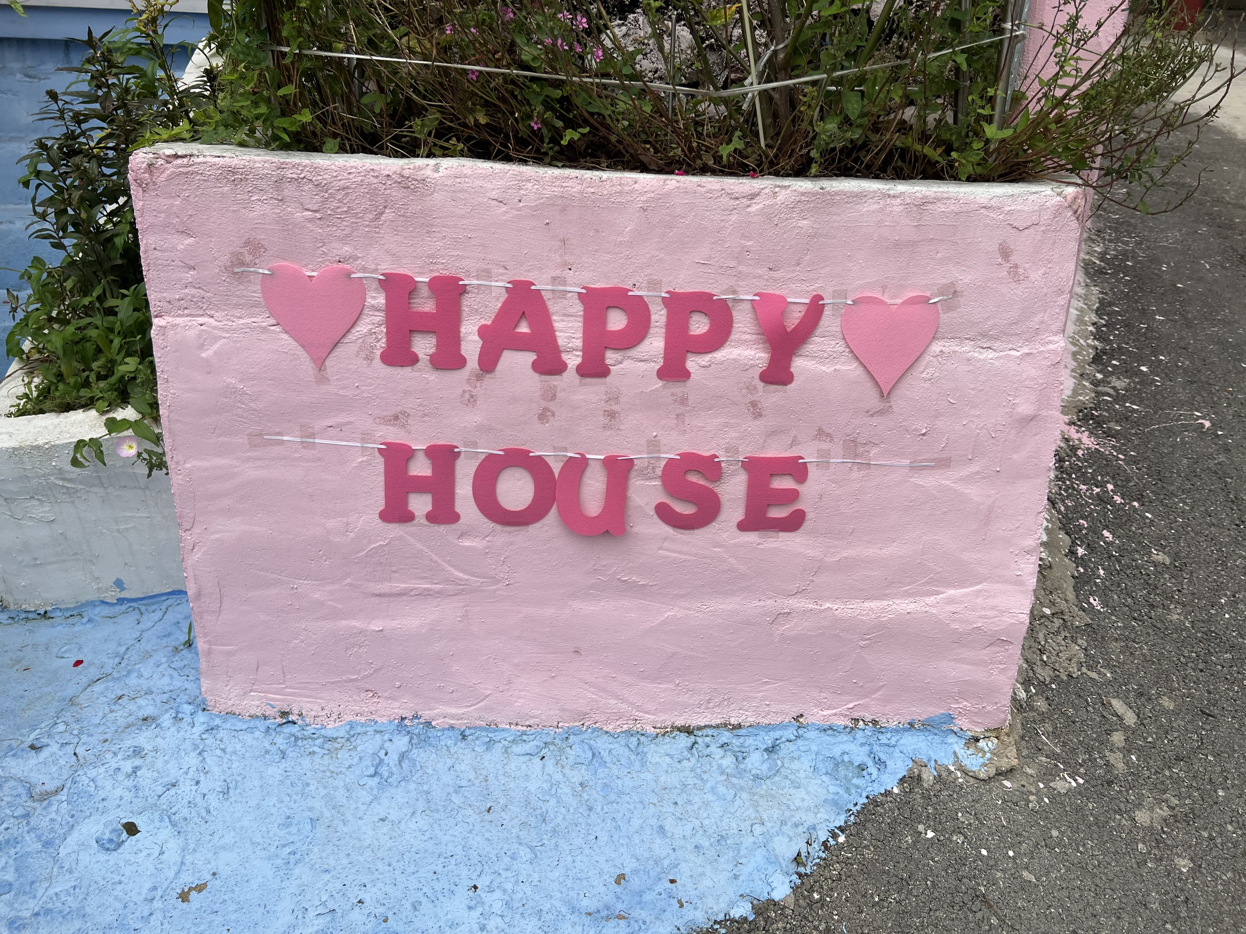 분홍집 - Happy house Photo1