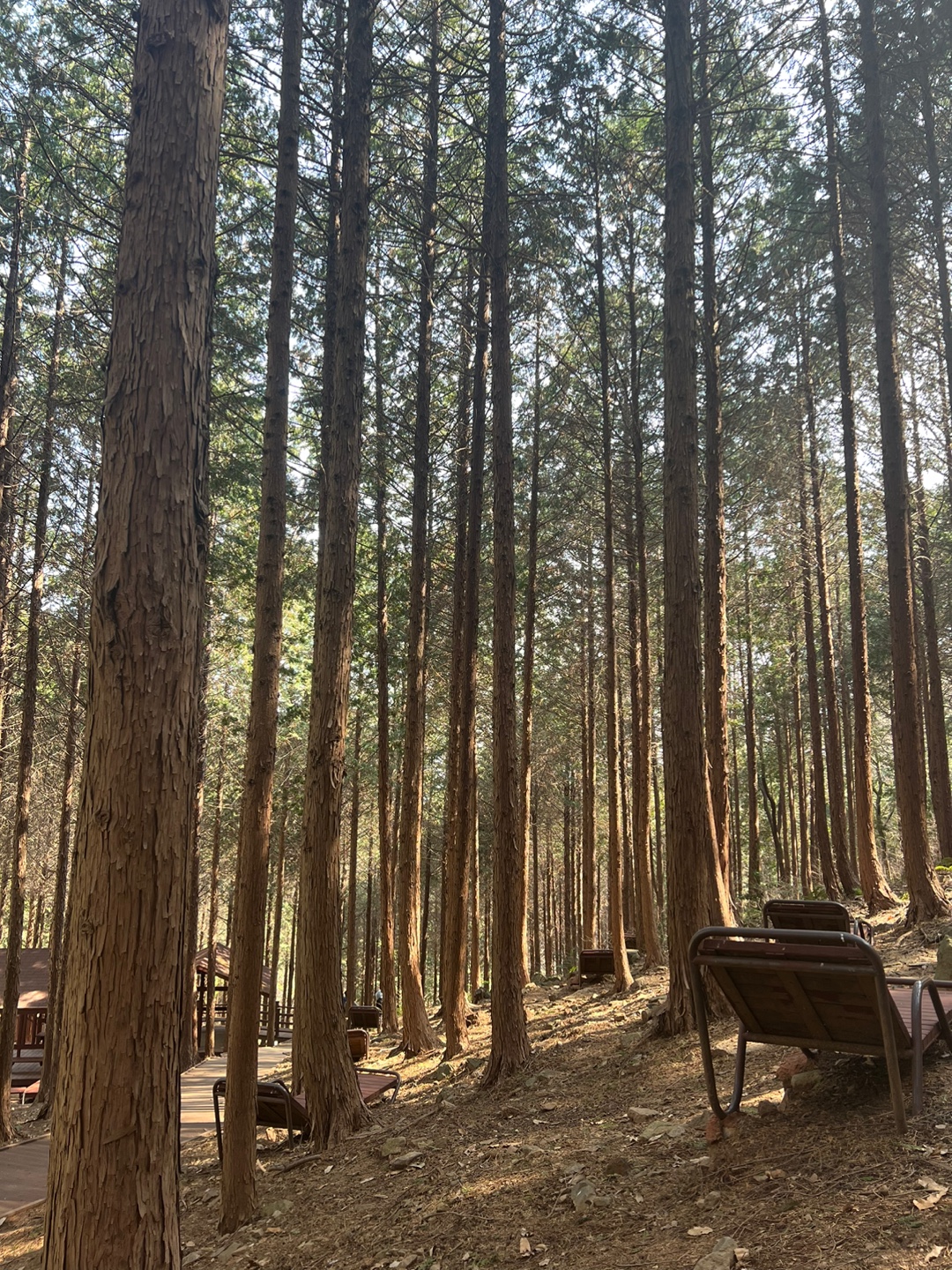 星期二 釜山华语知音 印象釜山 -  구봉산치유의 숲 트래킹  记者现场采访照 Photo2