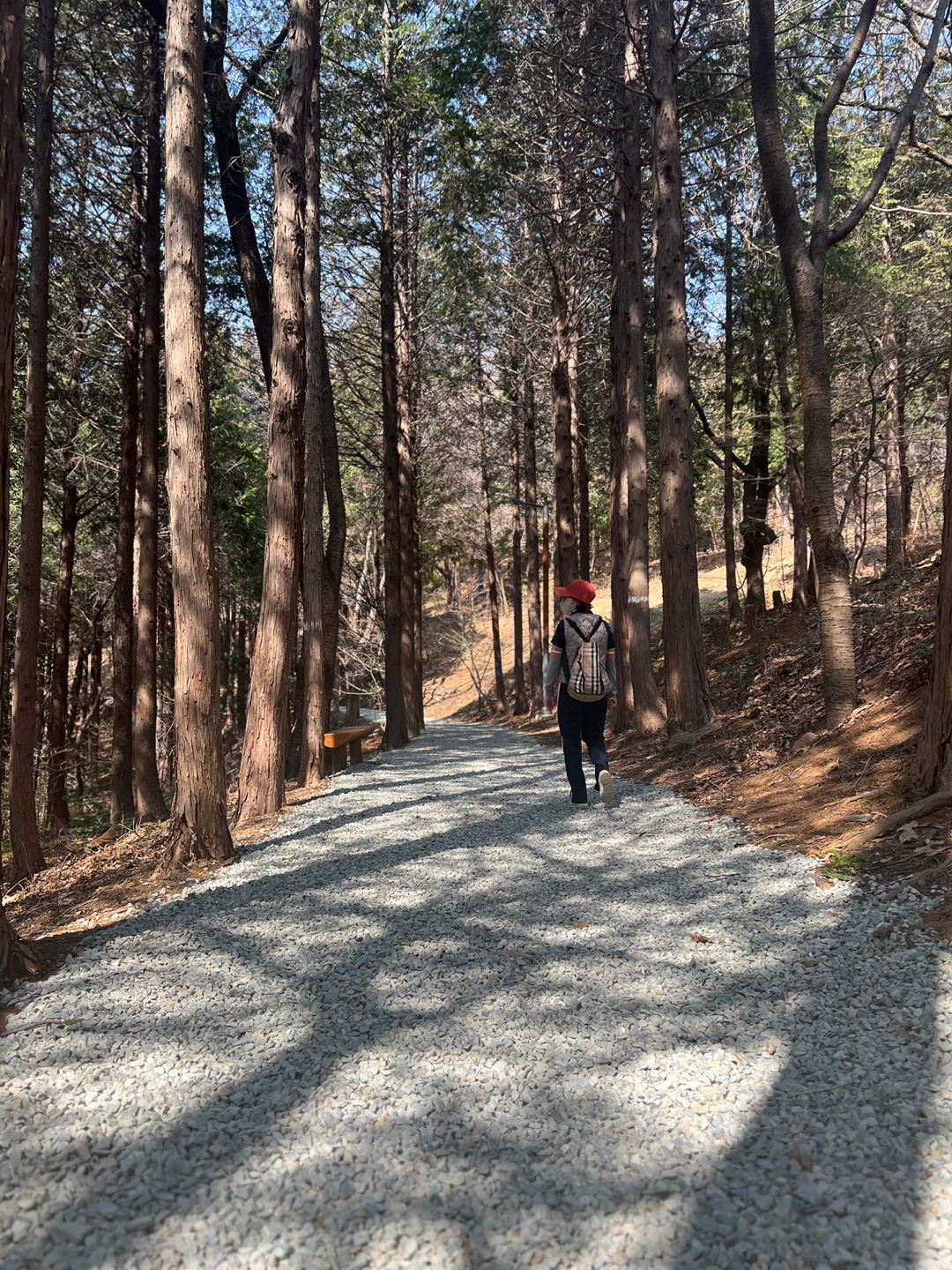 星期二 釜山华语知音 印象釜山 -  구봉산치유의 숲 트래킹  记者现场采访照 Photo3