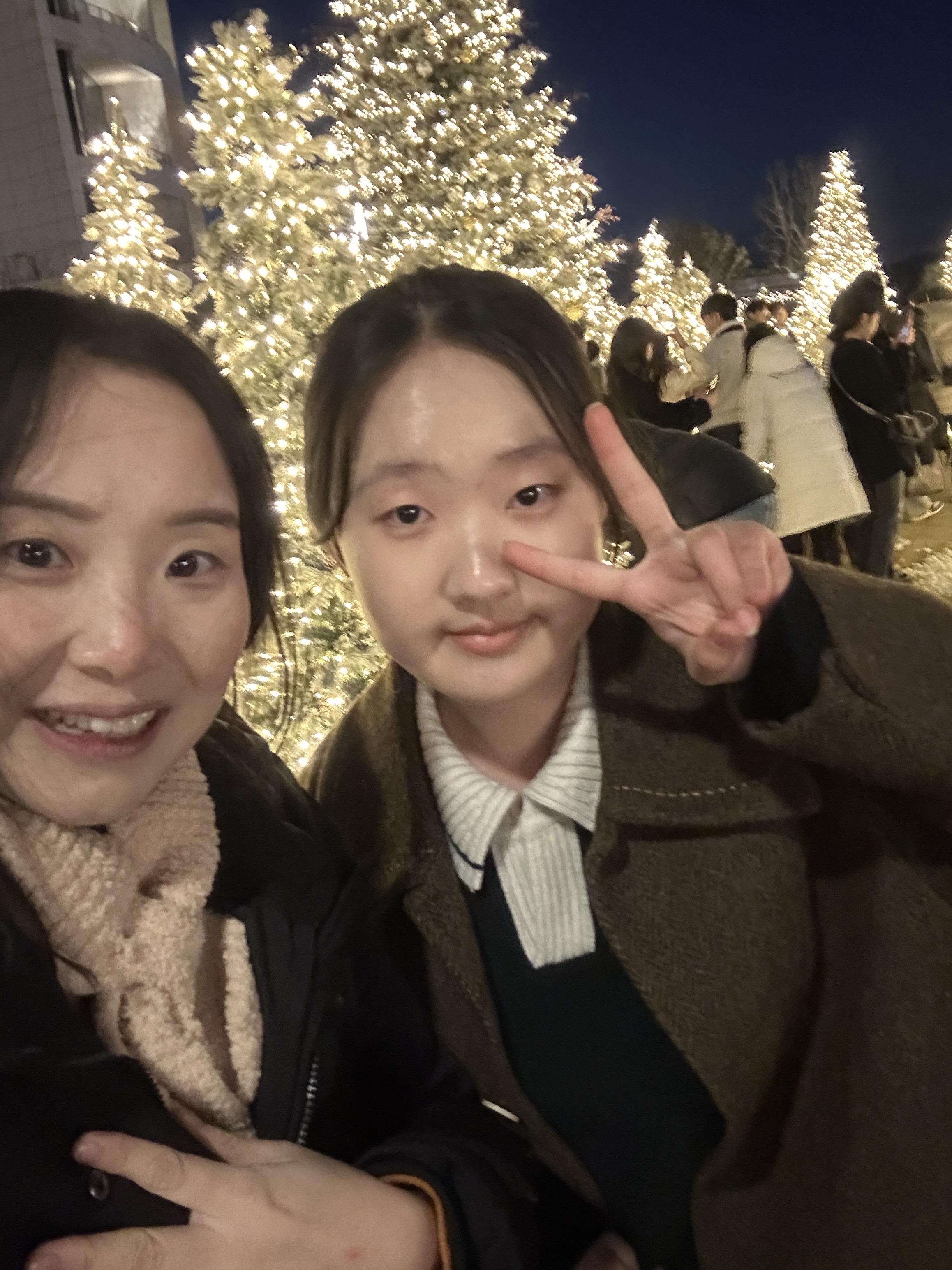 (니하우부산/你好釜山) - 부산의 크리스마스트리 숲 Photo2