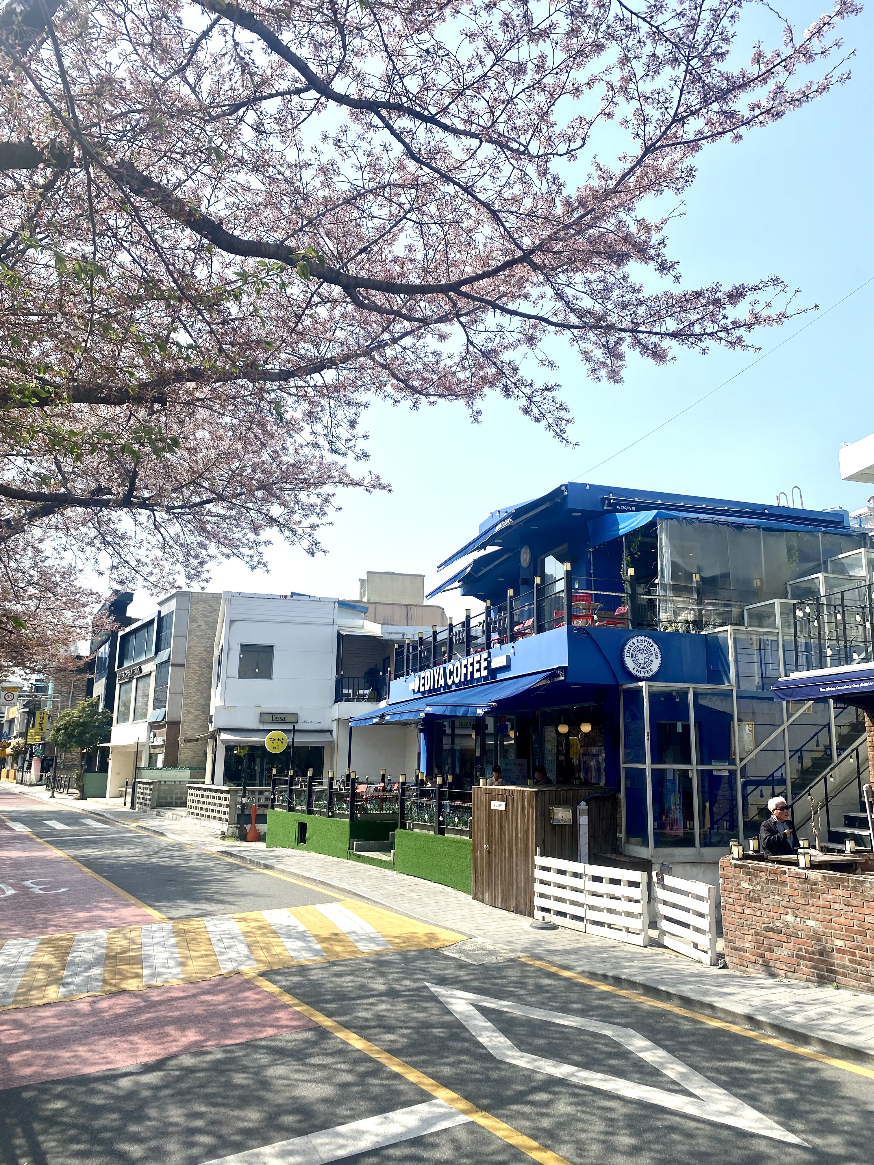 [헬로 베트남/구석구석] 온천천벚꽃길 - 동래구 Photo2