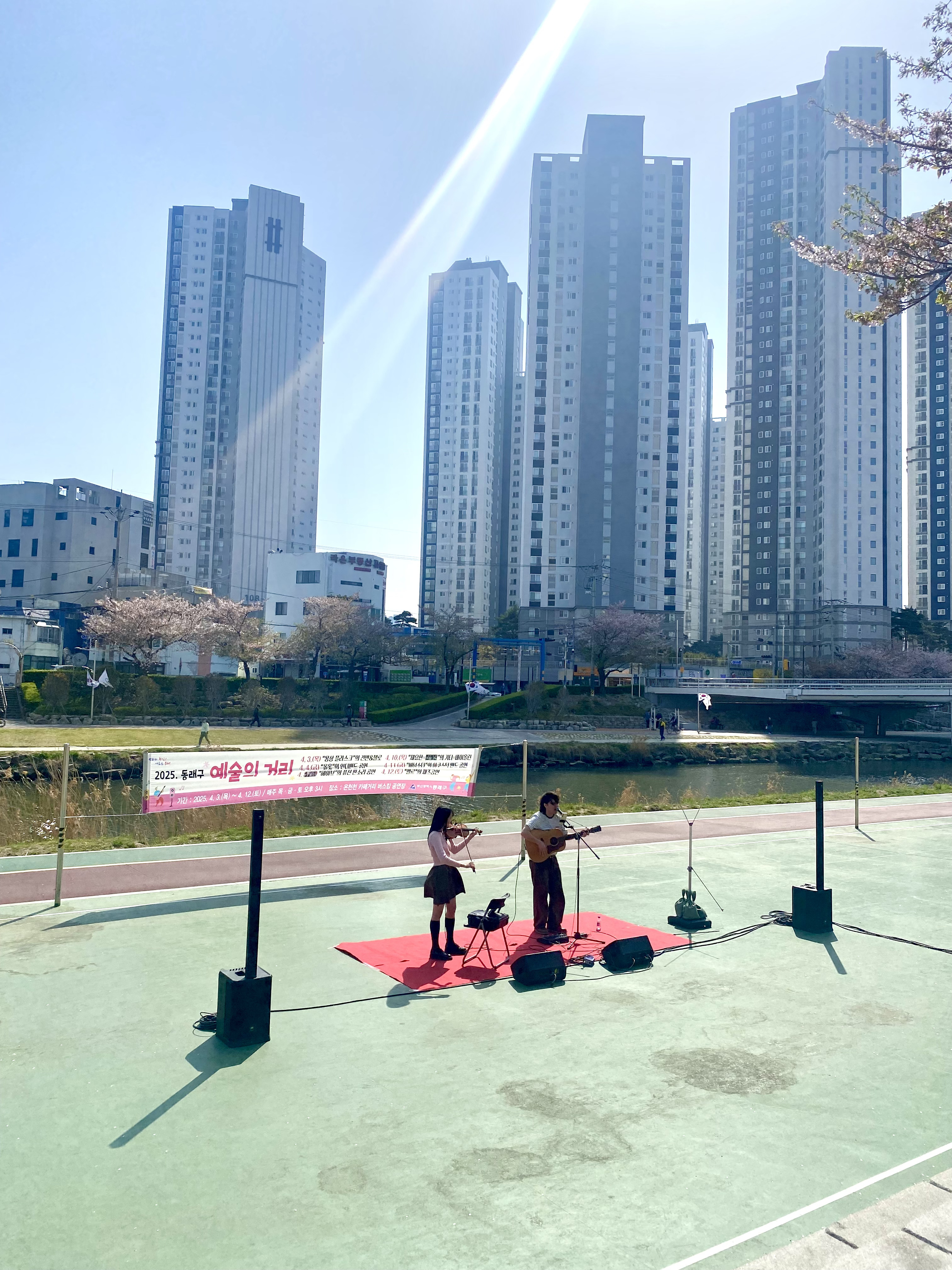 [헬로 베트남/구석구석] 온천천벚꽃길 - 동래구 Photo3