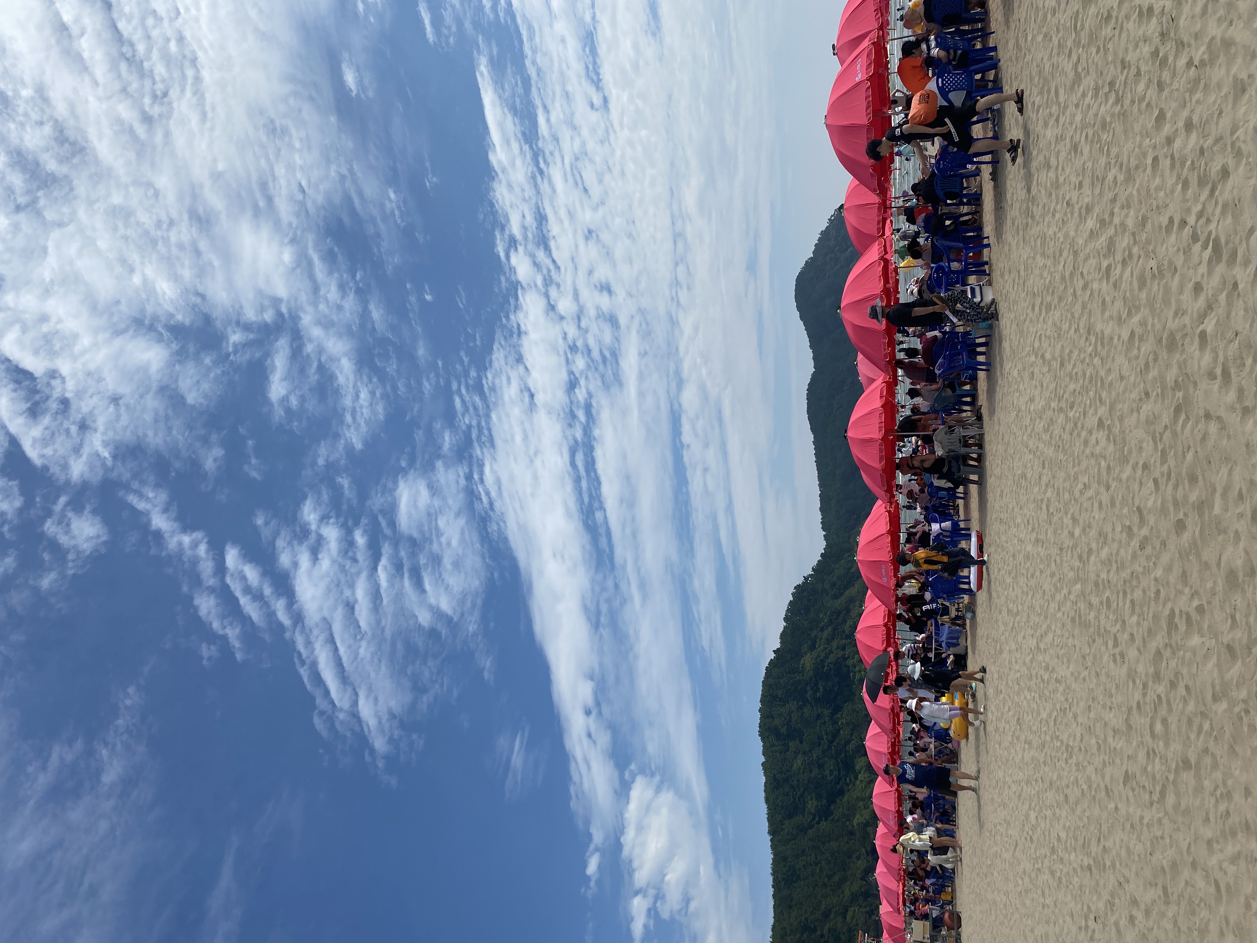 [헬로 베트남/구석구석] 부산의 전시회, 회묵현 Photo2