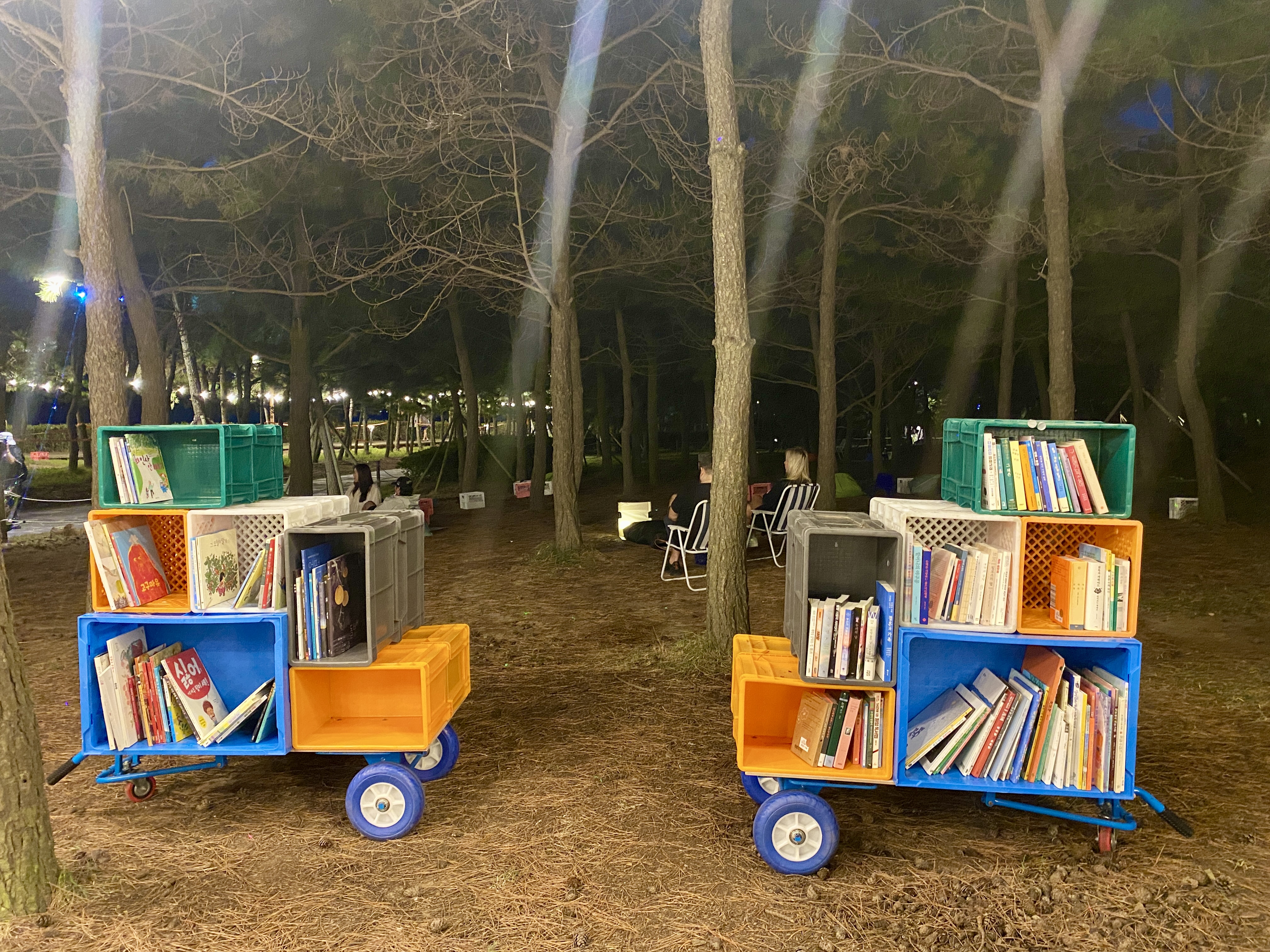 [헬로 베트남/구석구석]: 부산 바다 도서관 - 다대포해수육장 (Thư viện biển Busan - Biển Dadaepo) Photo5