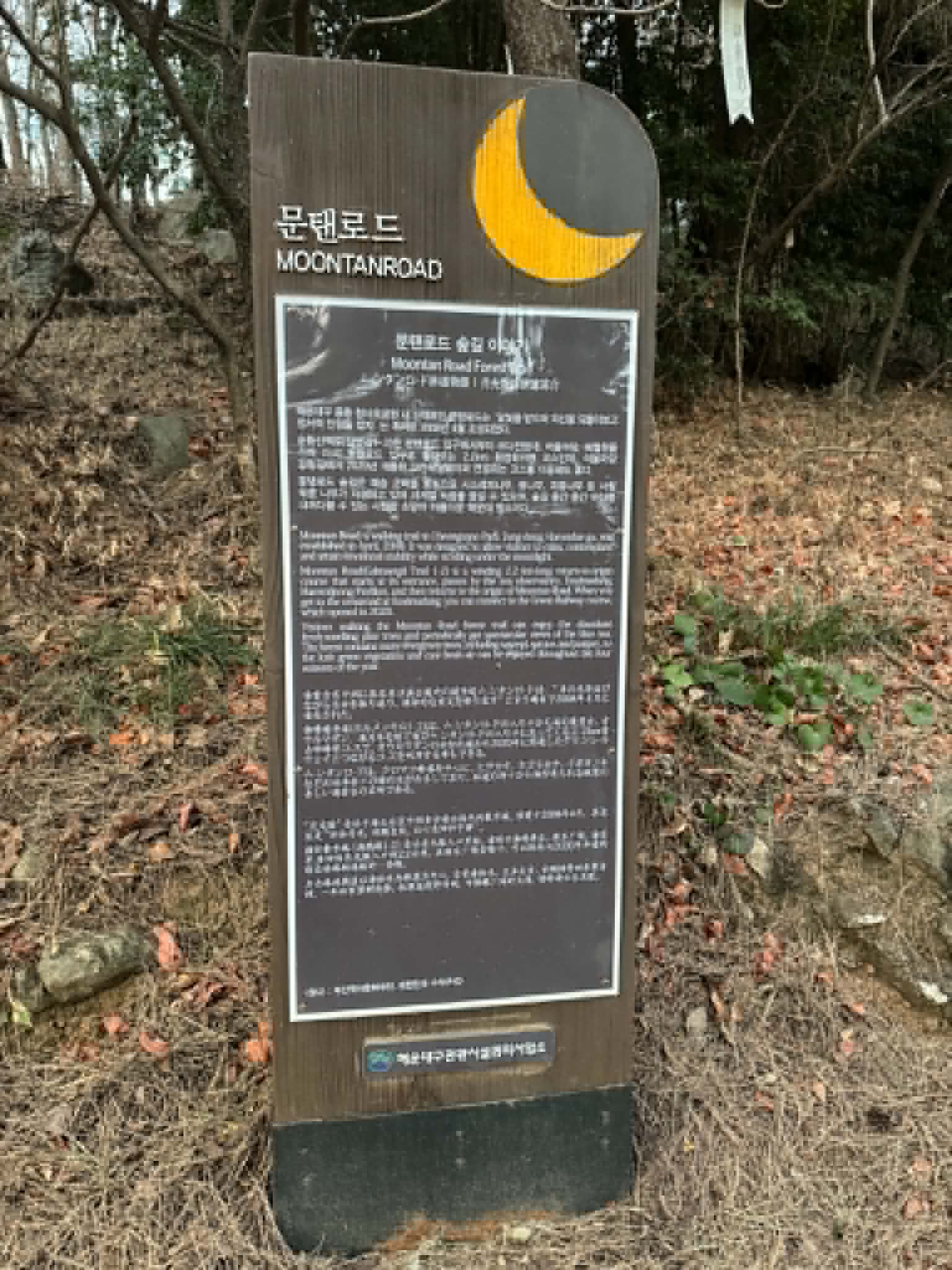 KHÁM PHÁ BUSAN: Giới thiệu triển lãm ngoài trời “Hành trình của trăng: Bình trăng Busan” tại công viên Dalmaji, Haeundae  Photo3