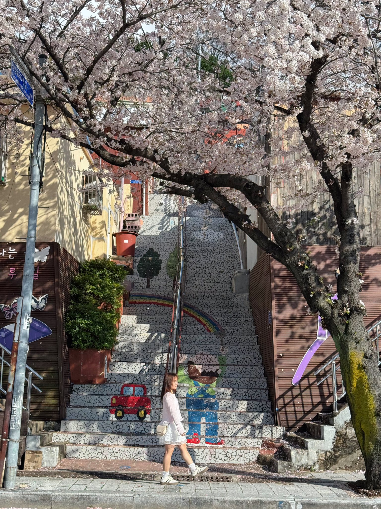 KHÁM PHÁ BUSAN: Địa điểm ngắm hoa anh đào mang đậm nét Busan – Làng tranh tường Dakbatgol Photo2