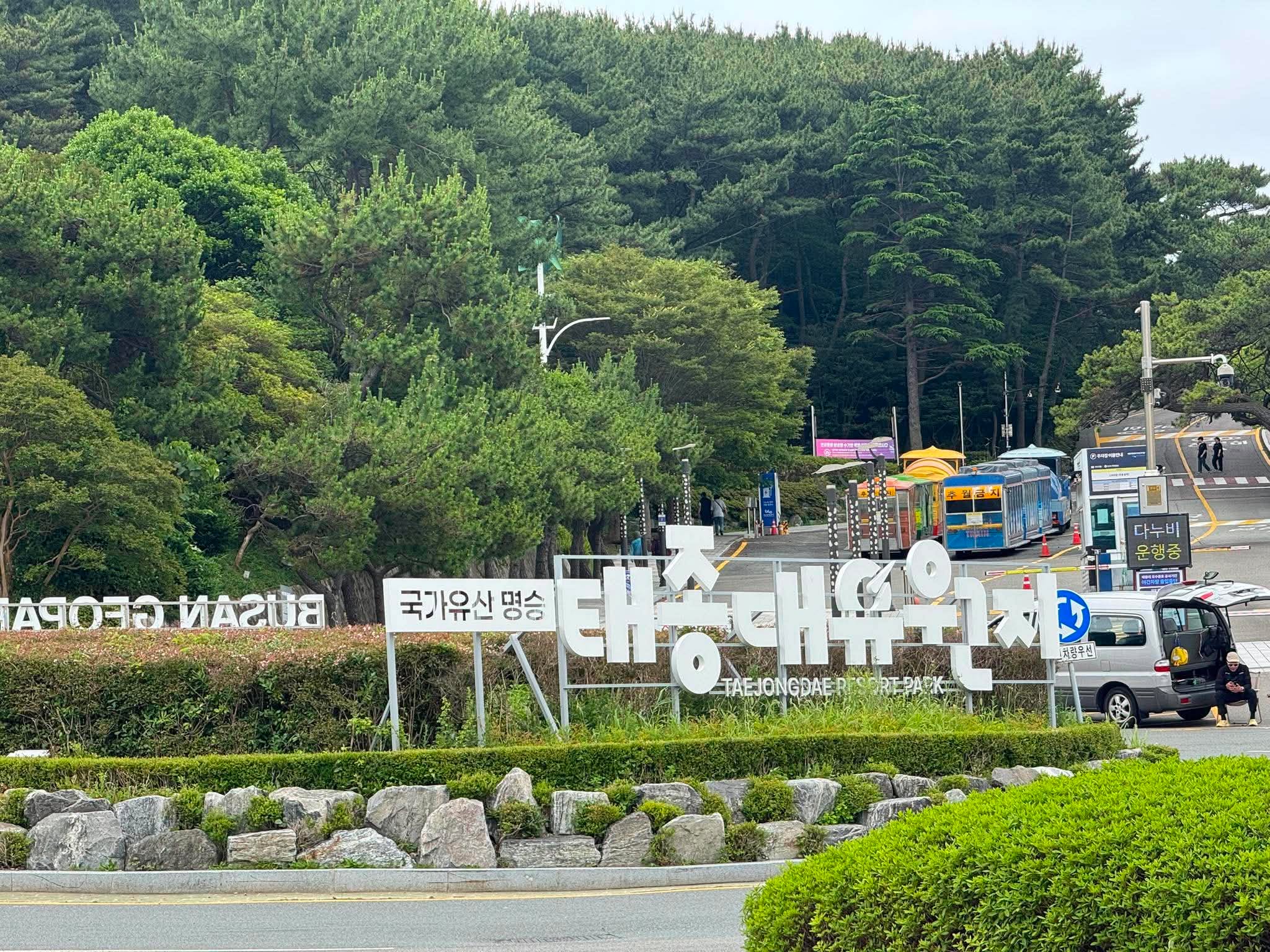 KHÁM PHÁ BUSAN/ PD Mai Hạnh: Lễ hội hoa cẩm tú cầu tại Taejongdae. Photo2