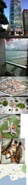 Busan Platter Photo