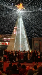 Merry Christmas !!  Photo
