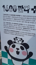 1600마리 판다 부산에 방문!! Photo