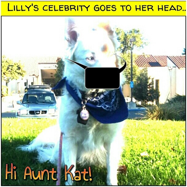 lily in a face mask due to the fine dust! Photo