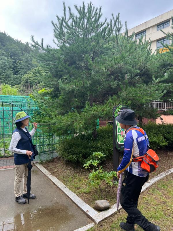 인상부산 - 부산산림교육센터 힐링 성인 숲해설 프로그램 오픈 Photo