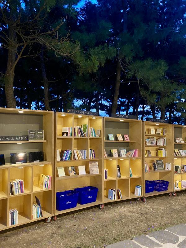 [헬로 베트남/구석구석]: 부산 바다 도서관 - 다대포해수육장 (Thư viện biển Busan - Biển Dadaepo) Photo