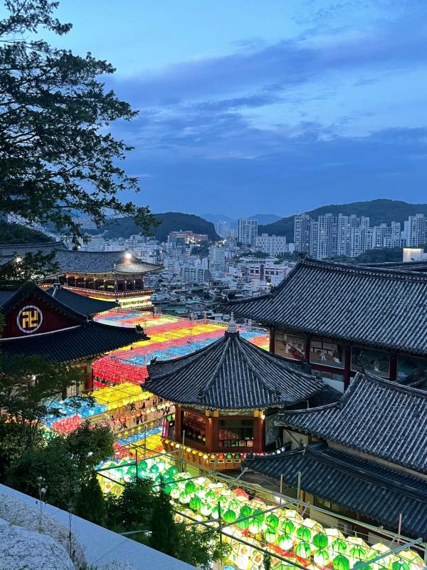 KHÁM PHÁ BUSAN: Lễ hội đèn lồng Samkwangsa 2026 Photo