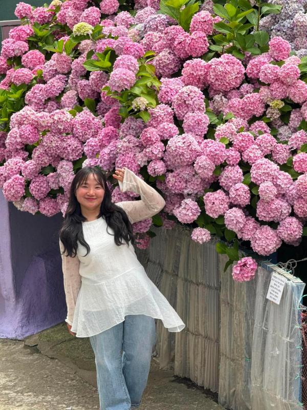 KHÁM PHÁ BUSAN/ PD Mai Hạnh: Lễ hội hoa cẩm tú cầu tại Taejongdae. Photo